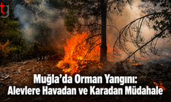 Muğla’da Orman Yangını: Alevlere Havadan ve Karadan Müdahale
