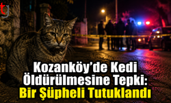 Kozanköy’de Kedi Öldürülmesine Tepki: Bir Şüpheli Tutuklandı