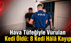 Hava Tüfeğiyle Vurulan Kedi Öldü: 8 Kedi Hâlâ Kayıp