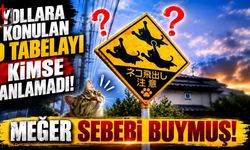 Yollara Konulan O Tabelayı Kimse Anlamadı: Gizemi Sonradan Çözüldü!