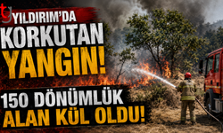 Yıldırım’da Korkutan Yangın: 150 Dönümlük Alan Kül Oldu!