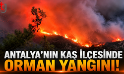Antalya'nın Kaş İlçesinde Orman Yangını