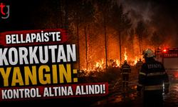 Bellapais'te Korkutan Yangın: Kontrol Altına Alındı!