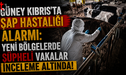 Güney Kıbrıs'ta Şap Hastalığı Alarmı: Yeni Bölgelerde Şüpheli Vakalar İnceleme Altında!