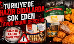 Türkiye'deki Hazır Gıdalarda Şok Eden Tavuk Oranı Gerçeği!
