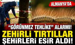 Almanya’da "Görünmez Tehlike" Alarmı: Zehirli Tırtıllar Şehirleri Esir Aldı!