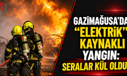 Gazimağusa’da "Elektrik" Kaynaklı Yangın: Seralar Kül Oldu!