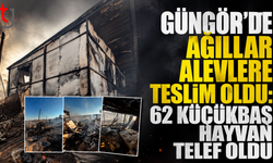 Güngör’de Ağıllar Alevlere Teslim Oldu: 62 Küçükbaş Hayvan Telef Oldu