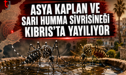 Kıbrıs’ta Sivrisinek Alarmı: İki Tehlikeli Tür Yerleşik Hale Geldi