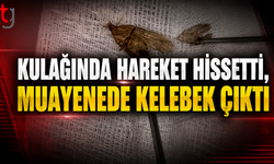 Kulağındaki Hareketten Şüphelendi, Doktor Kelebekle Karşılaştı