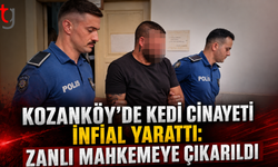 Kozanköy’de kedi cinayeti infial yarattı: “Bu vahşet cezasız kalmamalı”