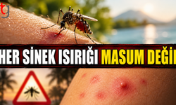 Her Sinek Isırığı Masum Değil