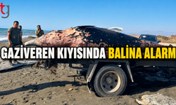 GAZİVEREN KIYISINDA BALİNA ALARMI