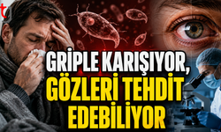 Grip Sanılan Toksoplazmoz Görme Kaybına Yol Açabilir