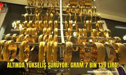 Gram Altın 7 Bin 139, Çeyrek Altın 11 Bin 658 Lira