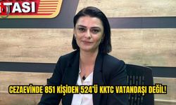 Aslı Murat: Sorun Yabancı Düşmanlığı Değil, Denetim Eksikliği