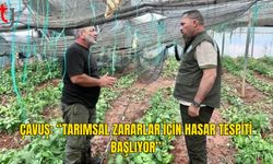 Fırtına Tarımı Vurdu: Zararlar Sahada Belirlenecek