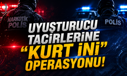 “Kurt İni” Operasyonu ve Eş Zamanlı Denetimlerde 8 Kişi Tutuklandı