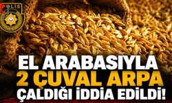 Gece Yarısı Arpa Hırsızlığı İddiası: Bir Kişi Tutuklandı