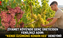 Ziyamet Köyü’nde Genç Üreticiden Yenilikçi Adım: "Kendi Üzümünü Kendin Kes" Deneyimi!