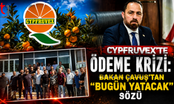 Cypfruvex'te Ödeme Krizi: Bakan Çavuş'tan "Bugün Yatacak" Sözü