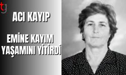 ACI KAYIP