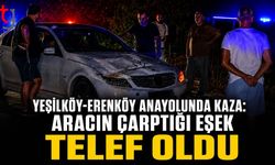 Yeşilköy-Erenköy Anayolunda Kaza: Aracın Çarptığı Eşek Telef Oldu