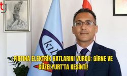 Devrilen Ağaçlar Elektrik Hatlarına Zarar Verdi