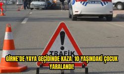 Yaya Geçidindeki Kazada Çocuk Yaralandı, Sürücü Gözaltında