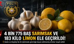 İskele’de Başlayan Denetim Alayköy’e Uzandı