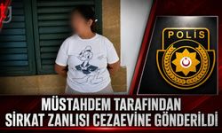Temizlik İçin Girdiği Evlerden Eşya Aldığı İddia Edildi