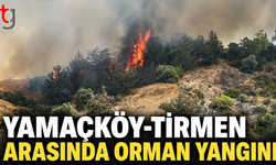 Yamaçköy-Tirmen Arasında Orman Yangını: Ekipler Karadan ve Havadan Müdahale Ediyor