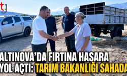 Altınova’da Fırtına Hasara Yol Açtı: Tarım Bakanlığı Sahada