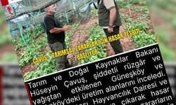 Manşet