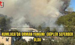 Toptaş Mahallesi’nde Orman Yangını Alarmı