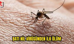 Batı Nil Virüsü Alarmı: 10 Vaka, 1 Ölüm