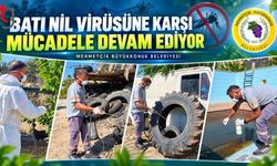 Batı Nil Virüsüne Karşı İlaçlama ve Üreme Alanı Kontrolü