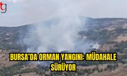 Perçin-Balıoğlu Arasında Orman Yangını