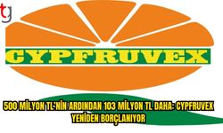 Cypfruvex’e Yeni Kaynak: Faiz Yüzde 36,49