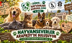 Arapköy’de Gönüllü Çalışma ve Bağış Etkinliği