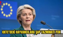 Von der Leyen’den Şap Tazminatı Açıklaması