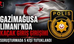 Tır Dorsesine Gizlenerek Ülkeye Girmeye Çalıştıkları İddiası