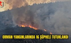 Yeşil Vatan İçin Adli Mücadele Sürüyor