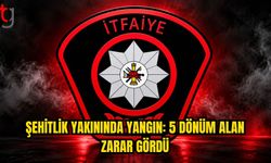 Gece Yarısı Yangını: 40 Çam Ağacı Yandı