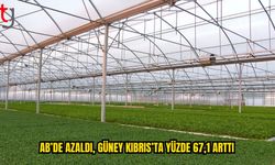 AB’de Emisyonlar Azaldı, Güney Kıbrıs’ta Yükseldi