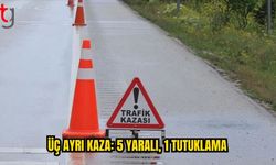 Alkollü sürücü kazanın ardından tutuklandı