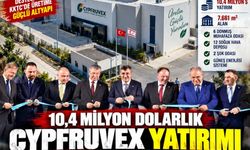 Manşet