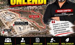 Manşet