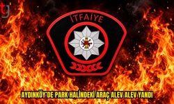 PARK HALİNDEKİ VAN ARAÇTA YANGIN PANİĞİ