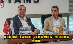 TDP: MECLİS’TE GÜÇLÜ DENGE VE DENETİM OLUŞTURACAĞIZ
